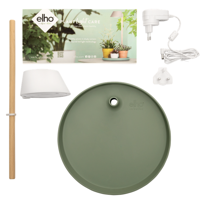 plant light care 11cm gris glacier